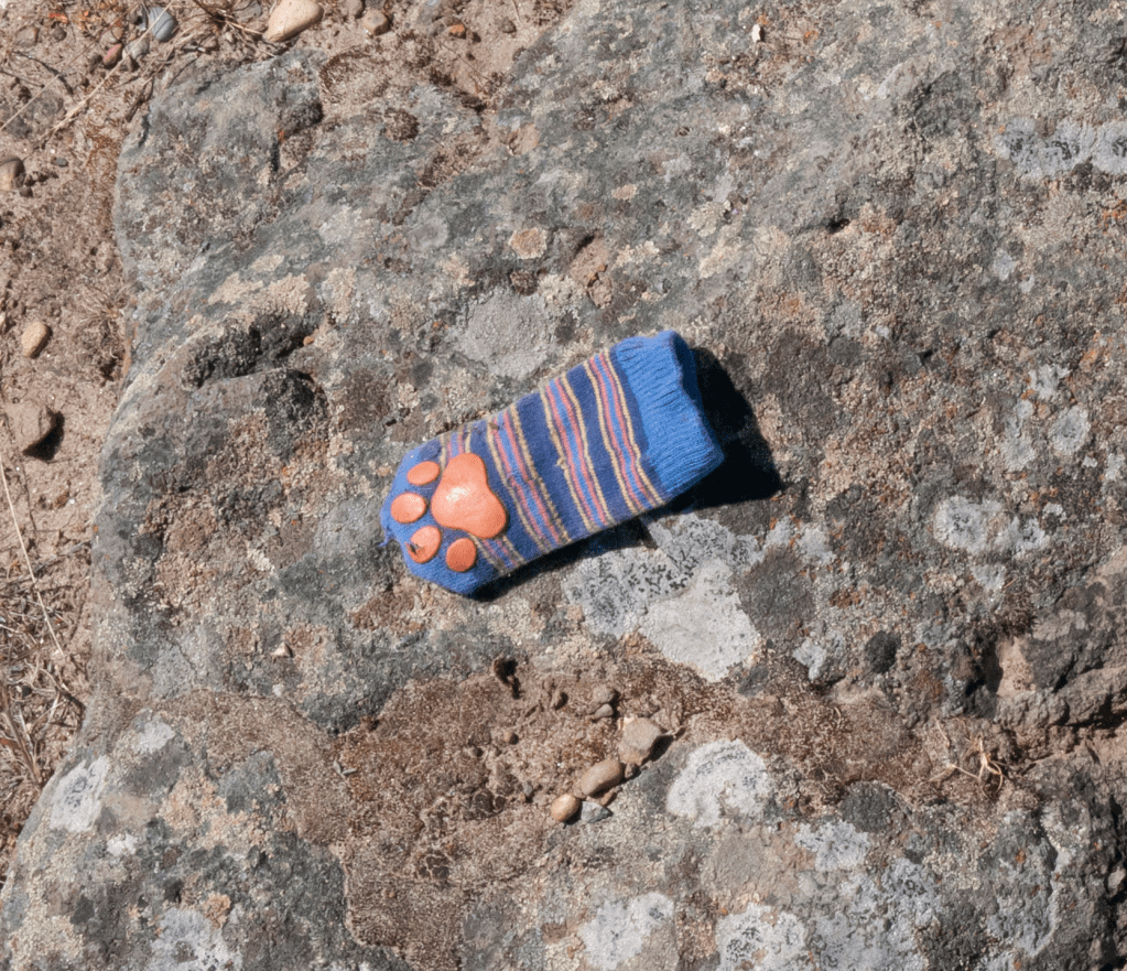 small blue striped baby sock with red rubber paw print, lying on lichen-covered basalt