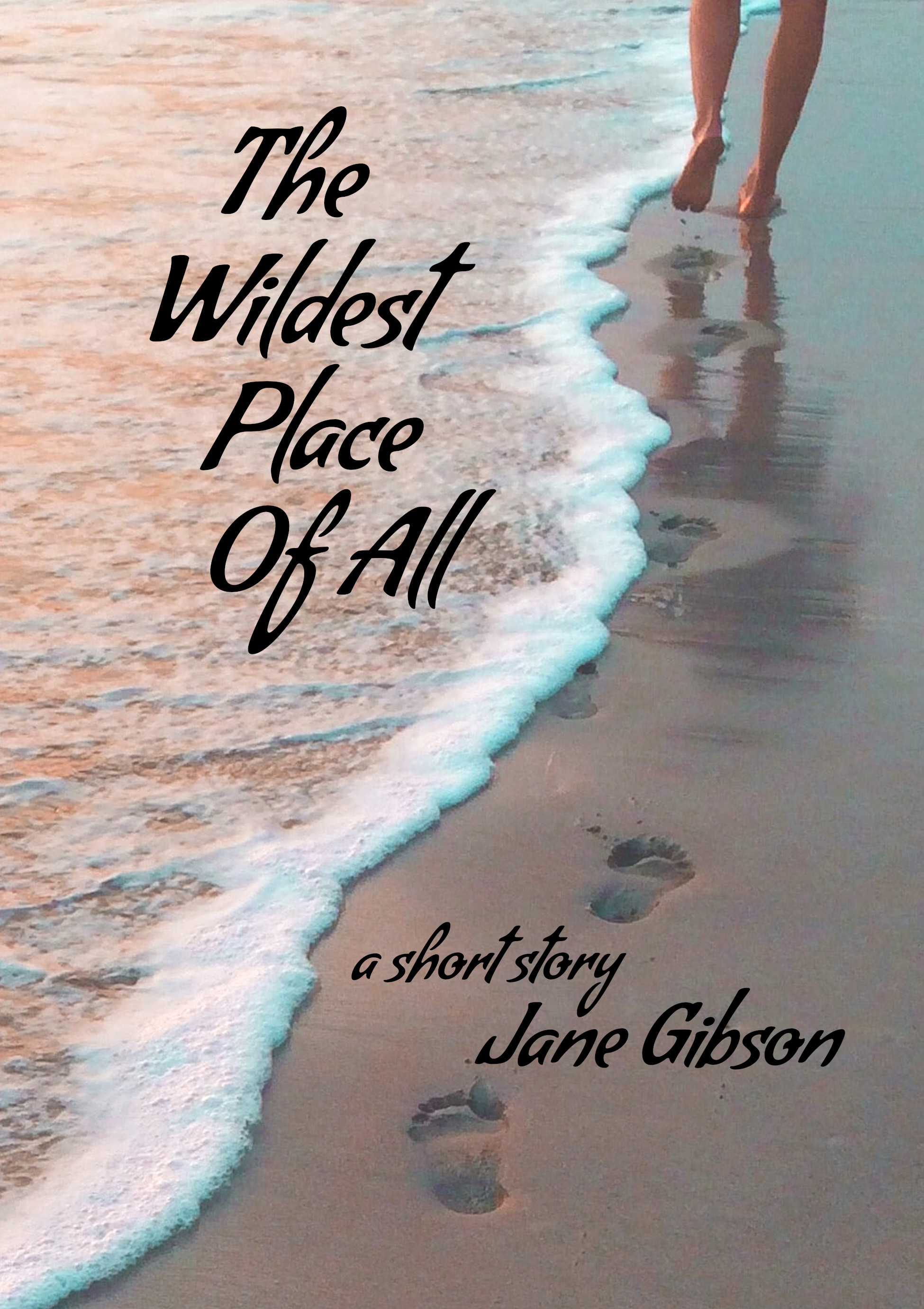 book cover for the wildest place of all  by jane gibson showing photo of feet leaving tracks in the wet sand along the edge of a foamy wave